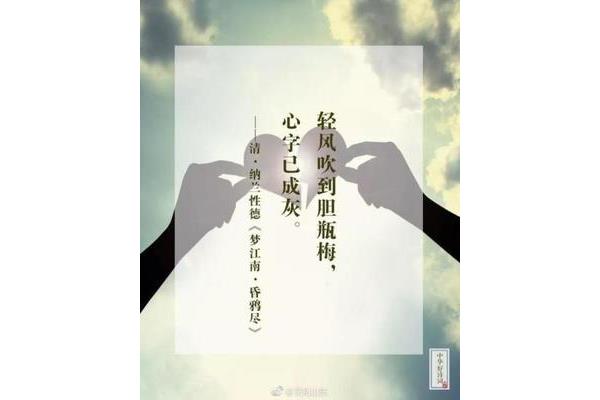 你若无心我便休
