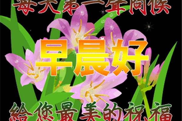 下午好祝福语