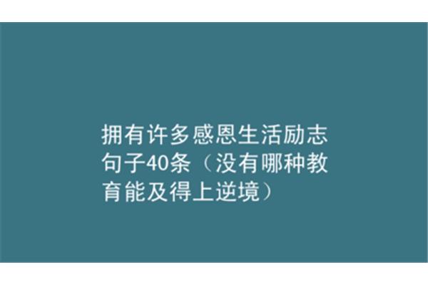 珍惜亲情的句子