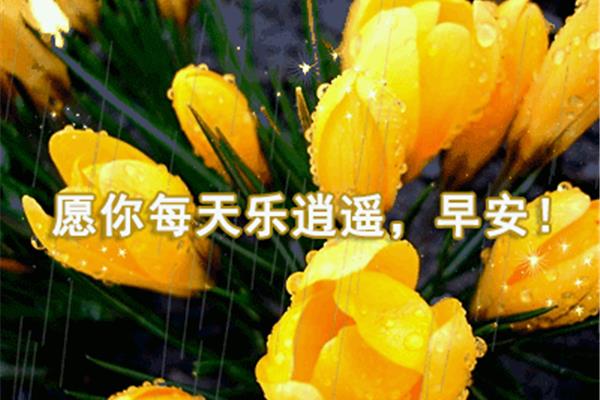 下午好祝福语
