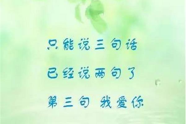 说一句我爱你