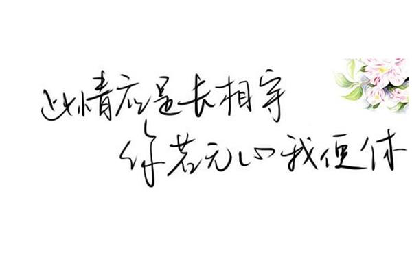 你若无心我便休