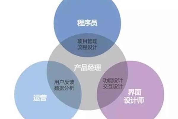 协调沟通能力