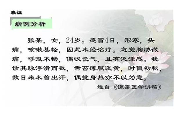 中医八纲辨证