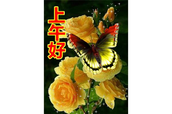 下午好祝福语