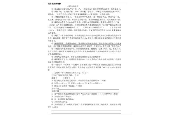 四年级阅读理解