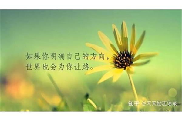 一句话致自己