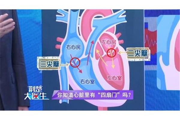 心脏有几个心房