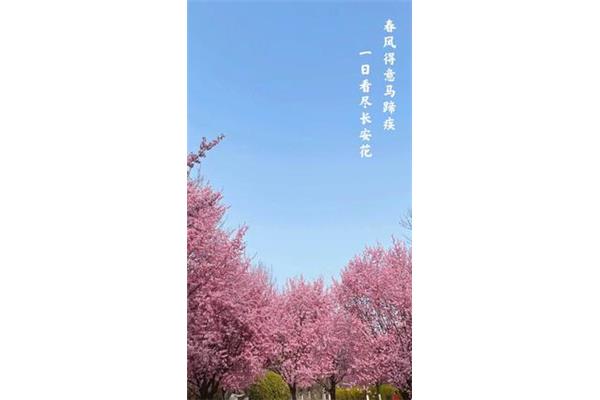 李白的唐诗
