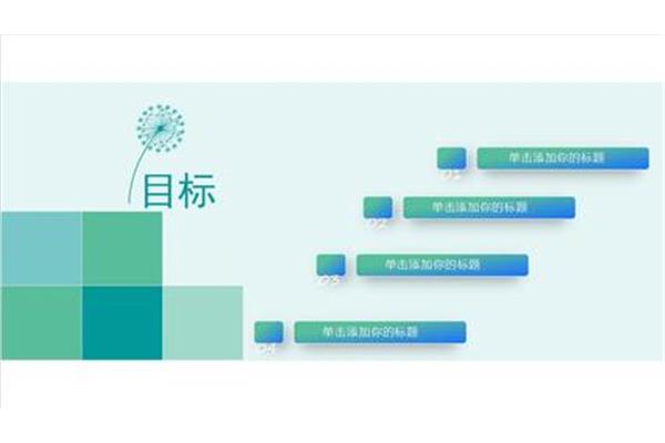 个人职业发展计划