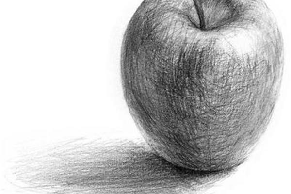 素描图片大全大图