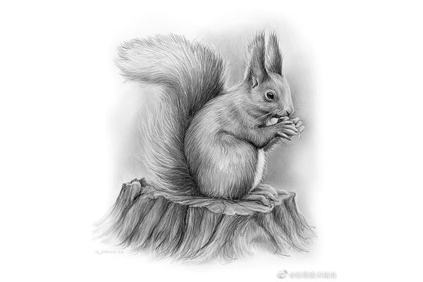 素描图片大全大图