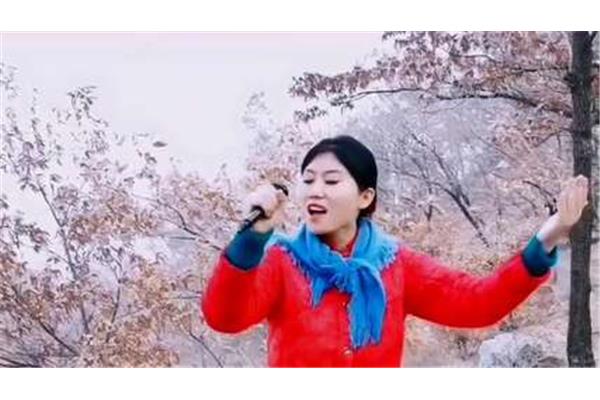 高原红歌曲原唱