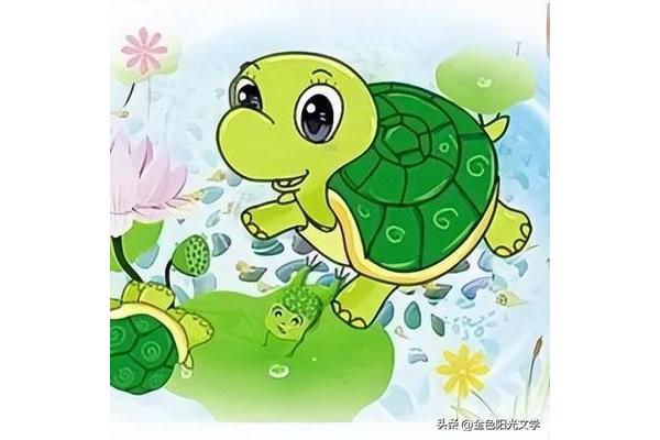 我的小乌龟