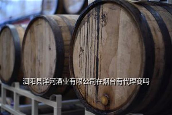 洋河酒厂招聘
