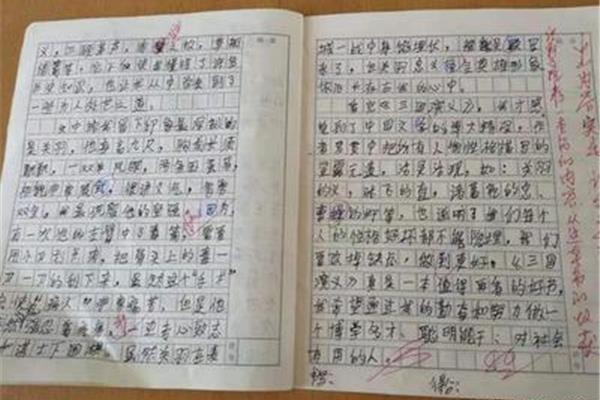 作文推荐一本书