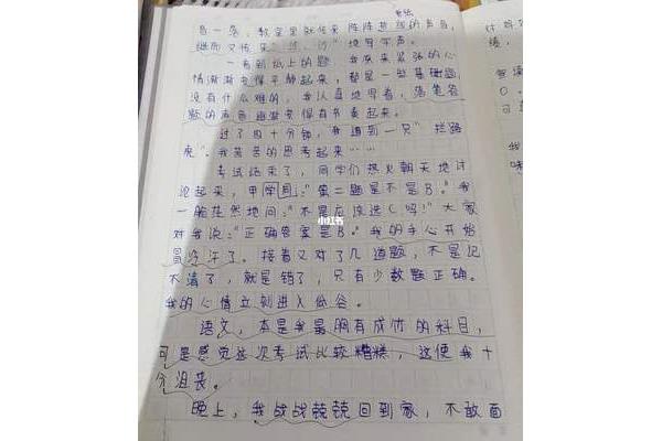 我的烦恼200字