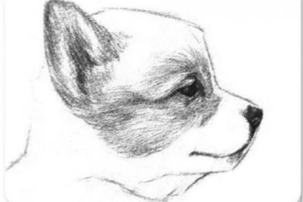 素描图片大全大图