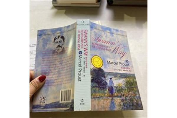 追忆似水年华