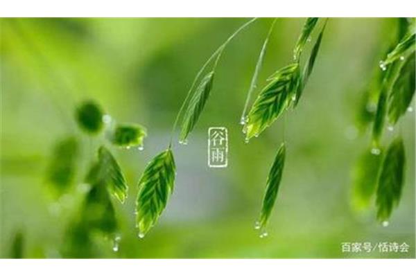 关于春雨的诗句