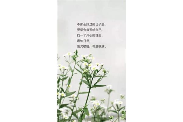简单的句子