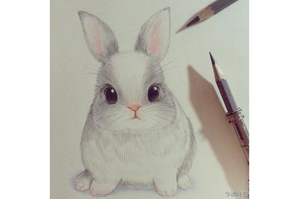 素描图片大全大图
