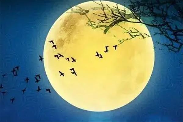 带有月的诗句