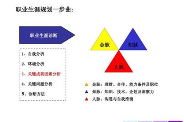 个人职业发展计划
