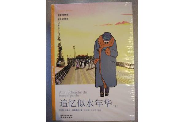 追忆似水年华