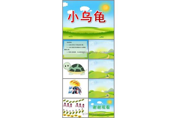 我的小乌龟