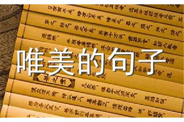 喜欢读书的句子