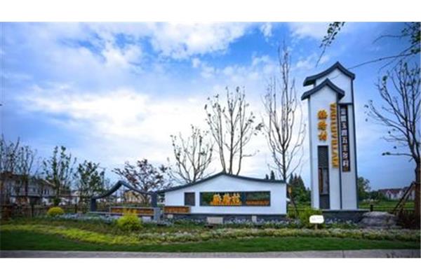乡村振兴示范村