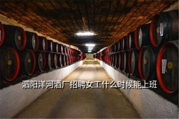 洋河酒厂招聘