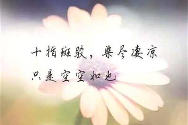 凄凉的句子