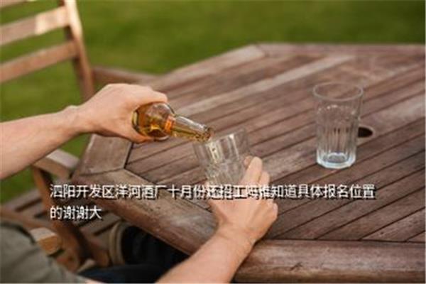 洋河酒厂招聘