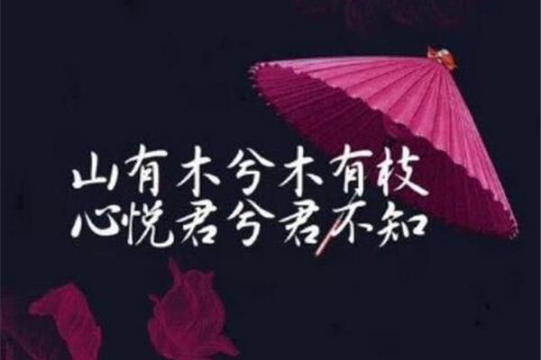 凄凉的句子
