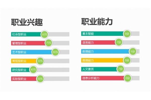 个人职业发展计划