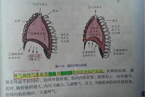 为什么会岔气