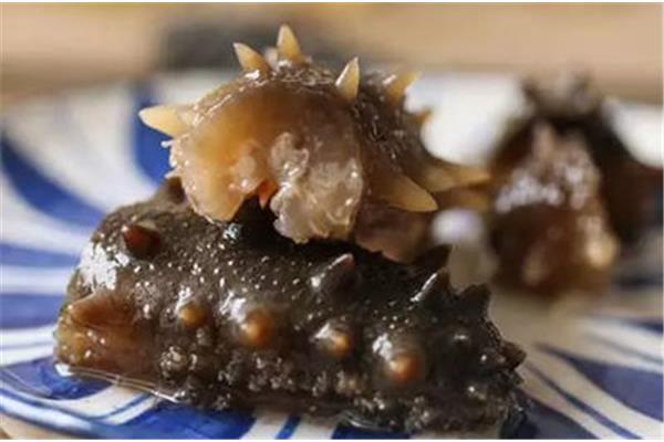 鲜海参的做法