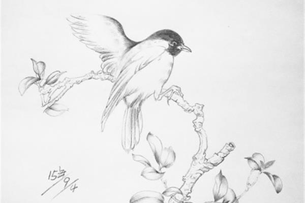 素描图片大全大图