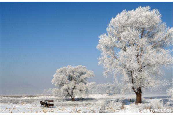 假如我是一片雪花