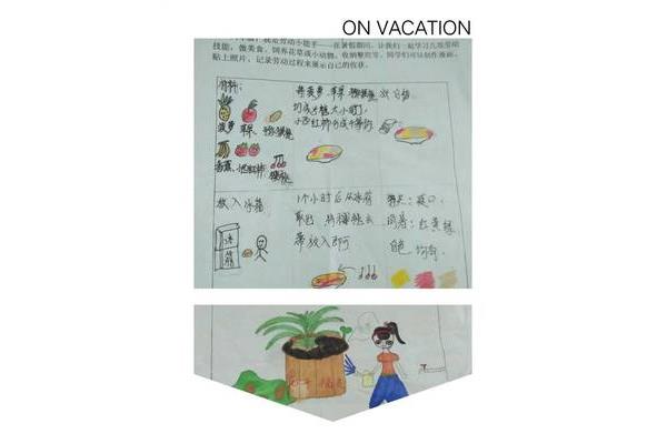 德育实践作业