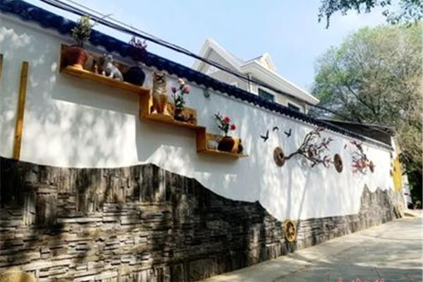 乡村振兴示范村