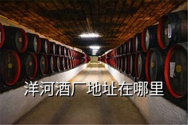 洋河酒厂招聘