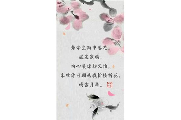 凄凉的句子