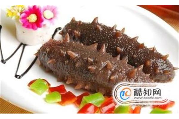 鲜海参的做法