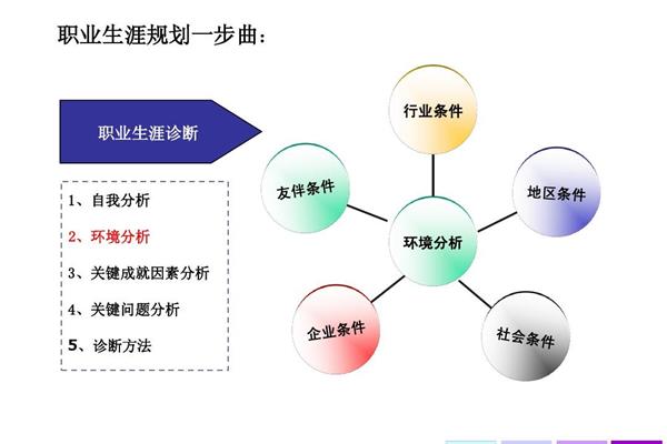 个人职业发展计划