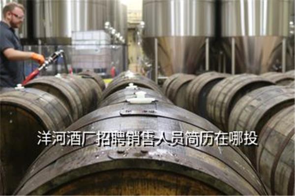洋河酒厂招聘
