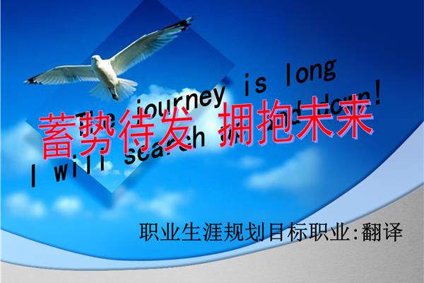 未来的职业规划