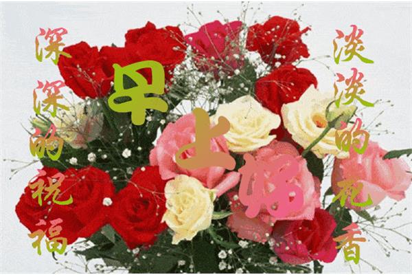 关于花的祝福语